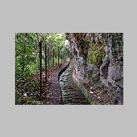 Madeira_2019_11_14_0273_Sao_Jorge-Levada_do_Rei_IMG_9092.jpg